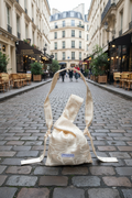 Lily Bag