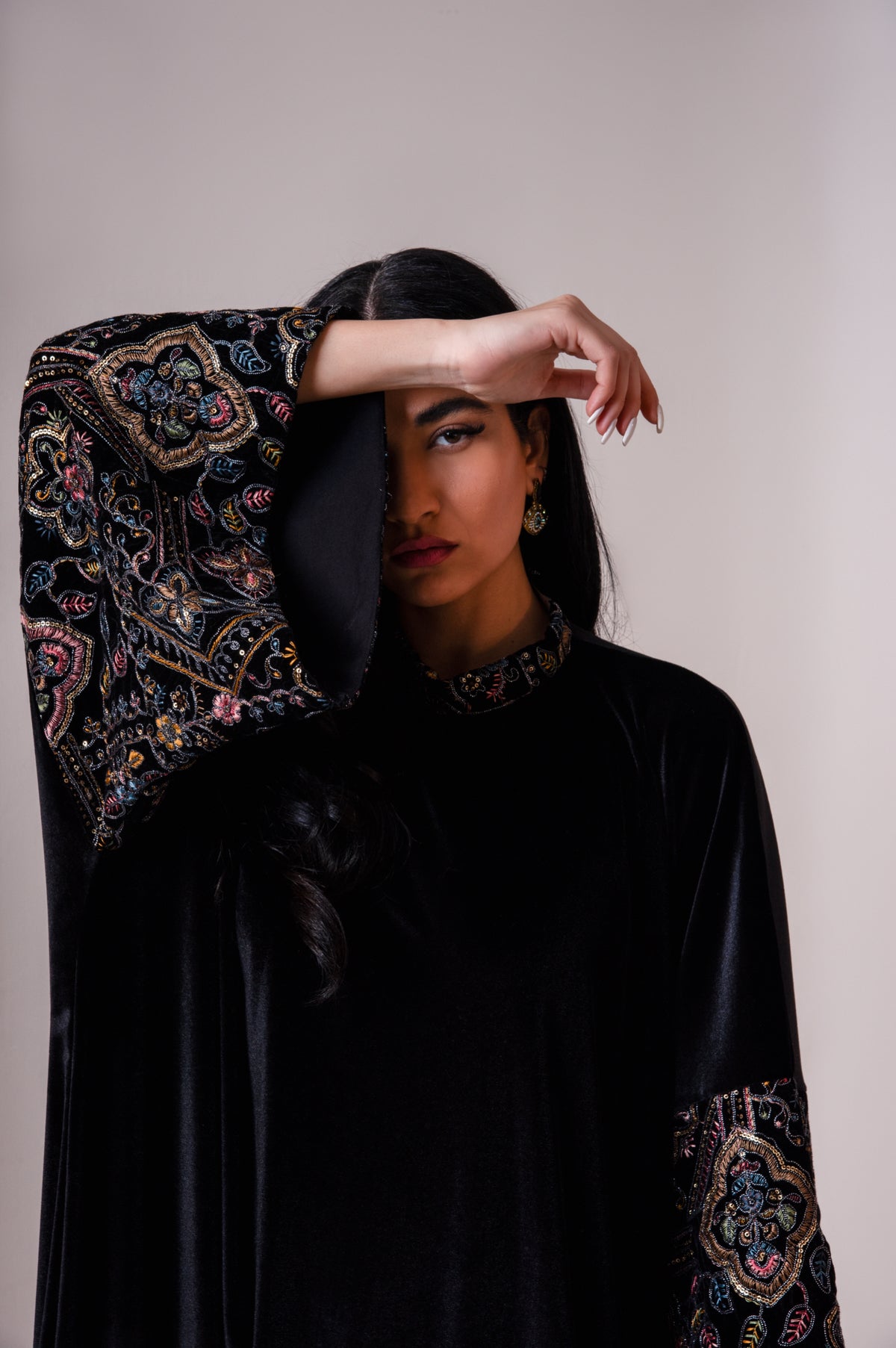 Velvet Embroidered Dress